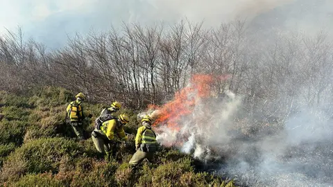 Bomberos forestales sofocando el fuego en Espinosa de los Monteros