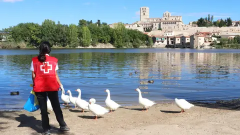 Basuraleza Cruz Roja