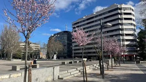 Plaza de La Marina _2