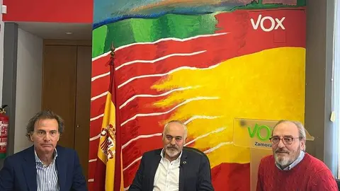 Vox Zamora 