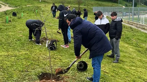Plantación de árboles en Valorio