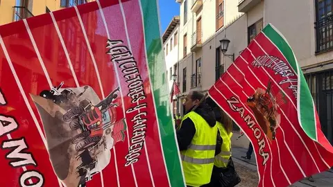 agricultores y ganaderos se manifiestan en Zamora _19