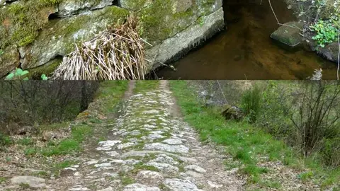 puente romano de Sanabria