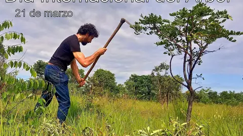 día del árbol 2024 con reforestaciones