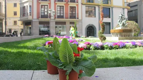 Operarios de Parques y Jardines decoran el centro de la ciudad