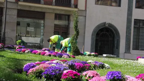 Operarios de Parques y Jardines decoran el centro de la ciudad