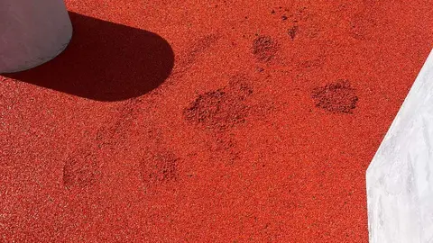 Daños sobre la nueva pista de Parkour en Roales del Pan. Fotografía: Ayuntamiento