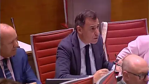 Maillo senado