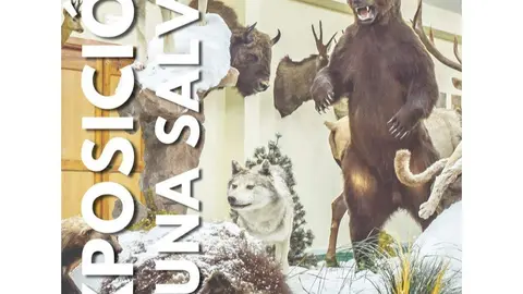 exposición fauna salvaje Santibáñez de Vidriales