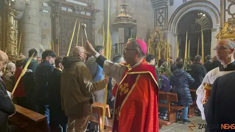 Bendición de palmas_21