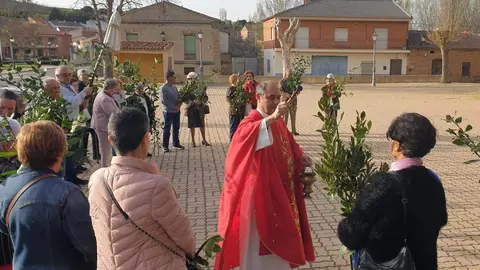 Domingo de Ramos en Venialbo. Imagen Facebook