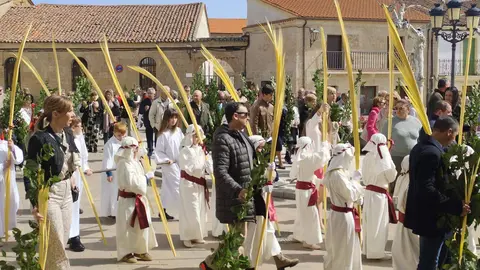 Domingo de Ramos en Fuentesaúco