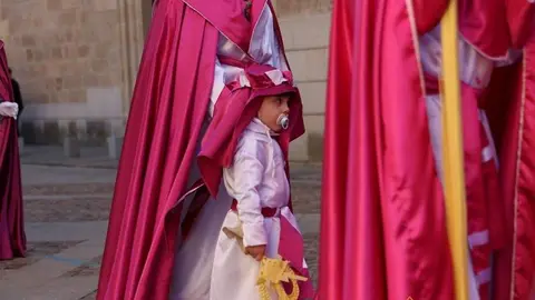 Procesión de La Borriquita (31)