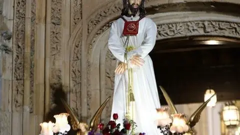 cristo misericordia toro (28)_tn
