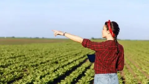 Mujer trabajando en el campo. Imagen de archivo