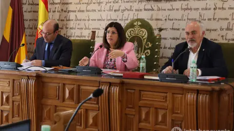 Los Grupos Municipales de PP y VOX en el Ayuntamiento de Benavente