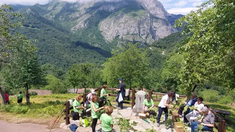 voluntariado ambiental