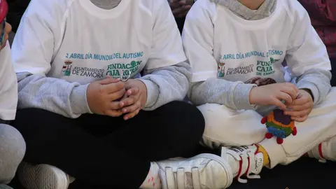 X Marcha Solidaria a favor de las Personas con Autismo  organizado por AZADAHI. imagen de archivo