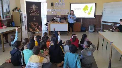 castañicultura en Alcañices. Imagen Diputación