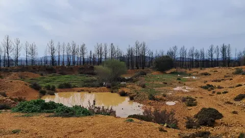 ubicación de la posible Planta de biometano en en el valle de El Tera