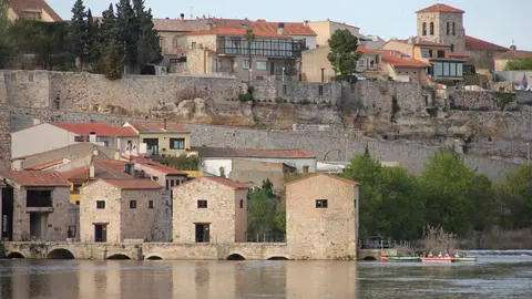 Ace&ntilde;as de Olivares