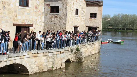 La comunidad gitana lanzando pétalos al Duero