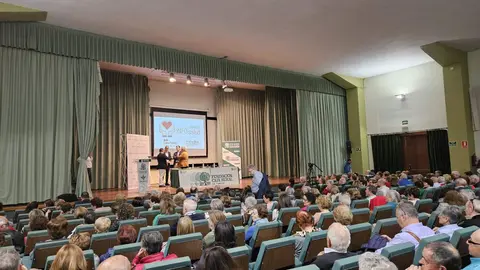 Jornadas INFOSALUD.  IMAGEN CECIDA