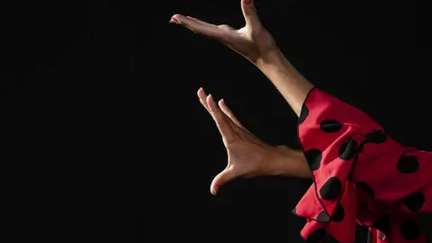 Bailaora flamenca. Imagen de archivo