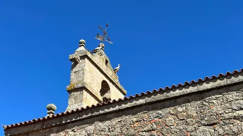 Una cigüeña posada sobre el Convento de San Francisco. Fotografía: Ayuntamiento de Fermoselle. imagen de archivo