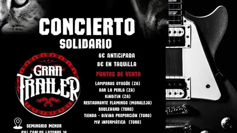 Cartel concierto solidario Asociación de voluntarios por los animales abandonados en Toro