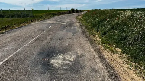 Estado de la ZA-623 entre Casaseca de las Chanas y Moraleja del Vino