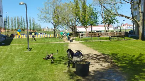 Trabajos de mejora en los jardines zamoranos