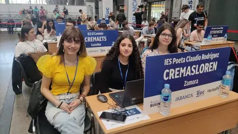 Young Business Talents 