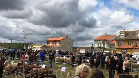 Carbajales de Alba celebra la Feria transfronteriza de San Miguel