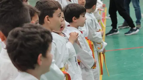 Judo Zamora y Morales