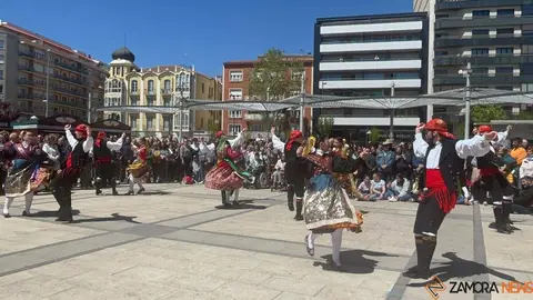 Actividades día de CyL en Zamora _13