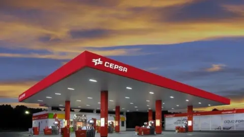 gasolinera Carbajales de Alba. imagen Cepsa
