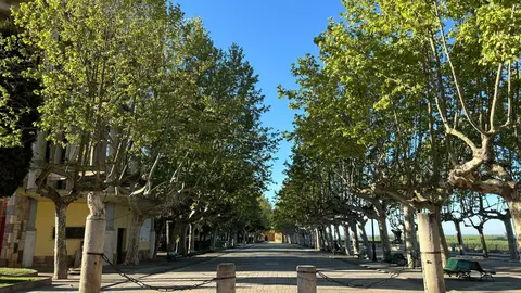 Paseo de la Mota Benavente