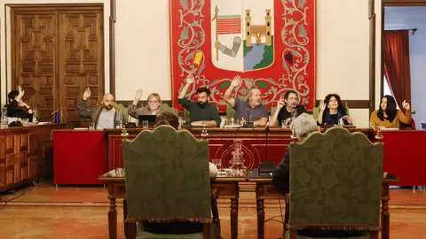 pleno Ayuntamiento de Zamora