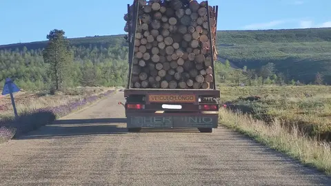 camión de madera. Otero de Bodas. Imagen cedida, imagen de archivo