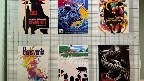 Exposición de carteles del certamen del Toro Enmaromado. Fotografía: Ayuntamiento de Benavente