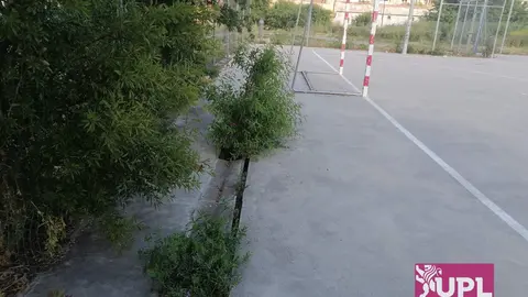 Pista deportiva San Frontis UPL