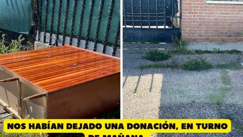 anmales abandonados Toro