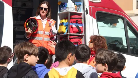 Cruz Roja celebra el Día de la Banderita por las calles de Zamora_7