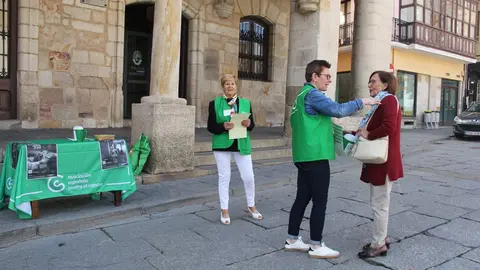 Día de la Cuestación de la AECC en Zamora