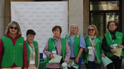 Día de la Cuestación de la AECC en Zamora