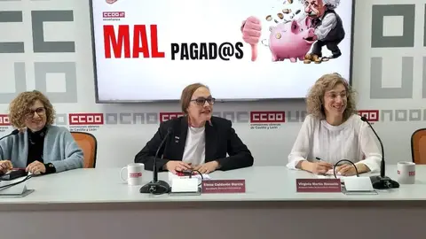 Presentación del informe realizado por la Federación de Enseñanza de CCOO de Castilla y León