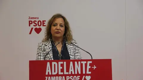 Antidio Fagúndez y Iratxe García, presidenta de Grupo de la Alianza Progresista de Socialistas y Demócratas_2