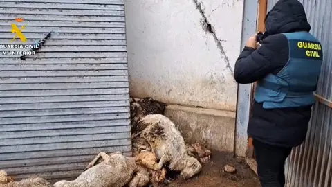 Captura de vídeo de la operación llevada a cabo por la Guardia Civil
