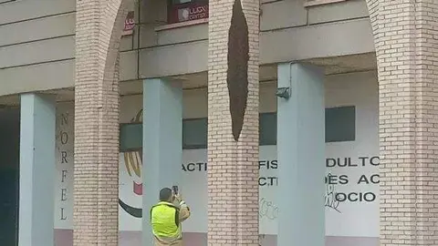 Las abejas acumuladas en un enjambre después de merodear varias viviendas en el Polígono 10 de León